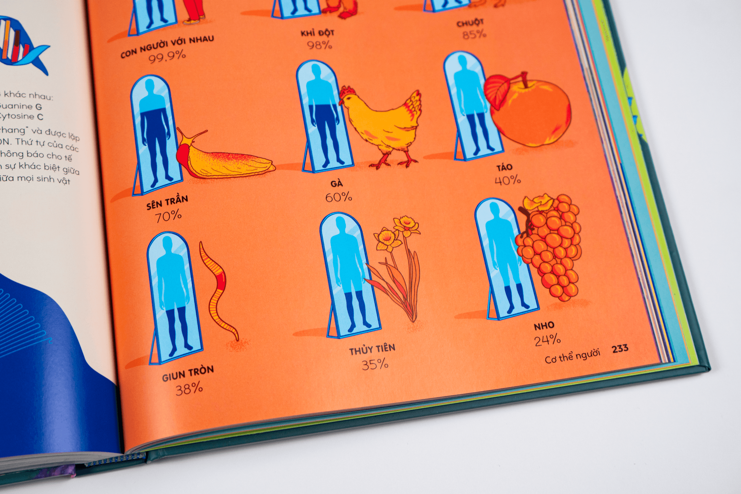 Sách Britannica's Encyclopedia Infographica - Bách khoa thư bằng đồ họa - ảnh 8