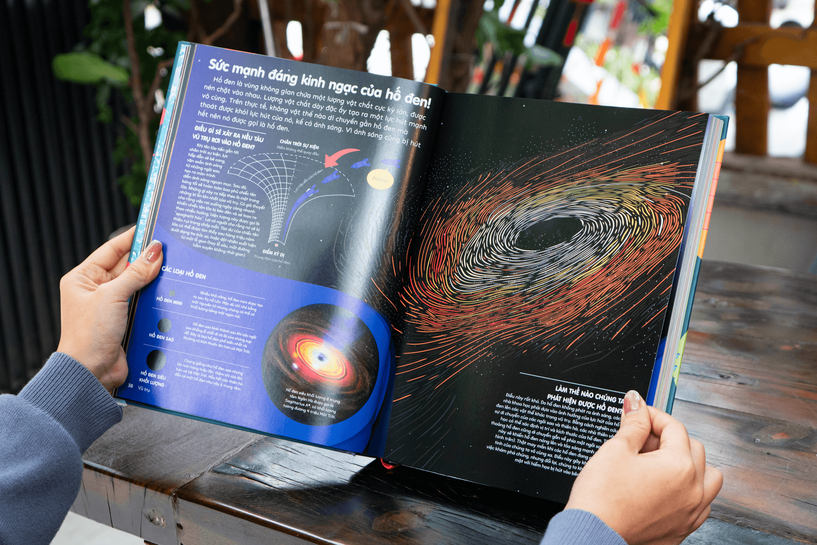 Sách Britannica's Encyclopedia Infographica - Bách khoa thư bằng đồ họa - ảnh 17