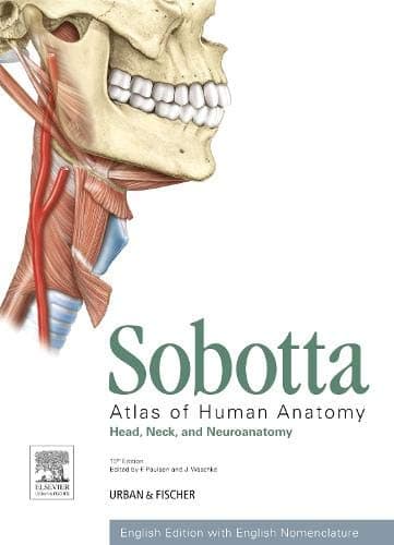 Sobotta Atlas of Human Anatomy, Vol. 3, 15th ed., English: Head, Neck and Neuroanatomy - Urban & Fischer