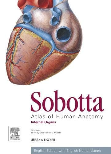 Sobotta Atlas of Human Anatomy, Vol. 2, 15th ed., English: Internal Organs - Urban & Fischer