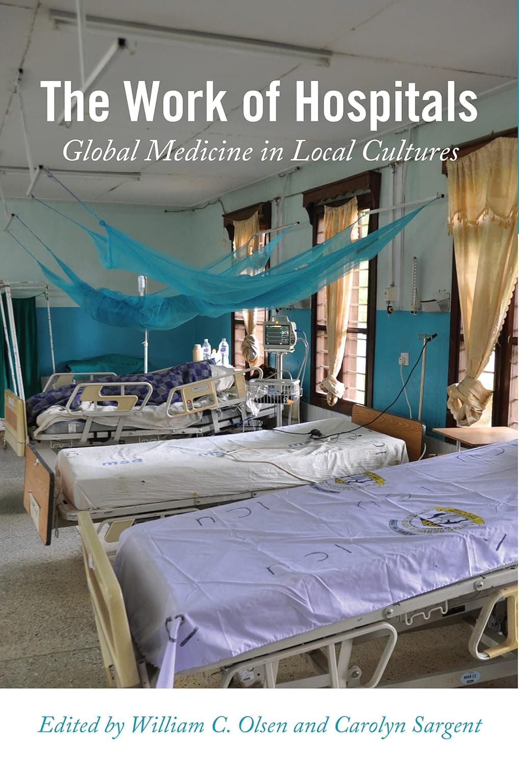 The Work of Hospitals: Global Medicine in Local Cultures - Thomas M. Johnson