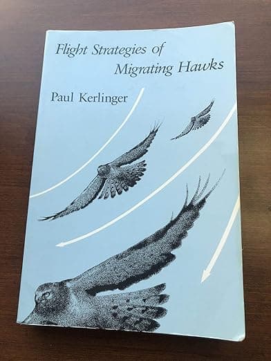 Flight Strategies of Migrating Hawks - University of Chicago Press