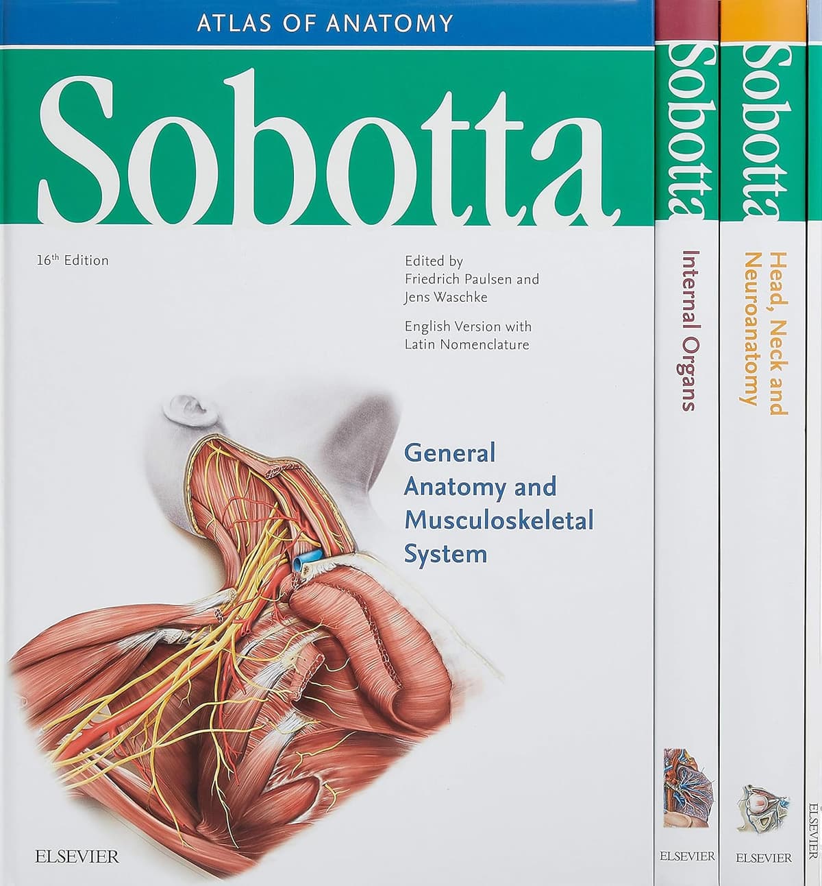 Sobotta Atlas of Anatomy, Package, 16th ed., English/Latin: Musculoskeletal System; Internal Organs; Head, Neck and Neuroanatomy; Muscles Tables - Urban & Fischer