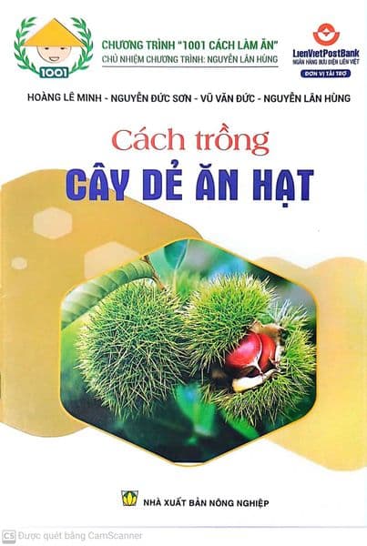 Cách Trồng Cây Dẻ Ăn Hạt - An