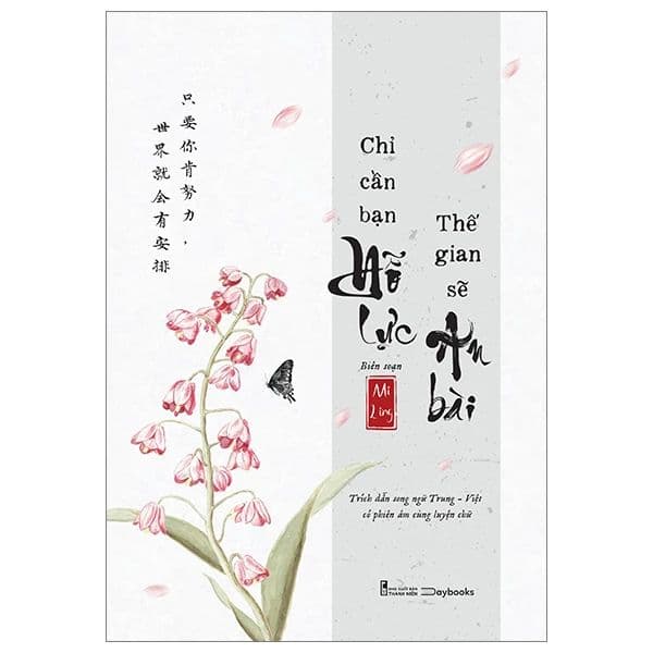 Chỉ Cần Bạn Nỗ Lực, Thế Giới Sẽ An Bài - An Vi