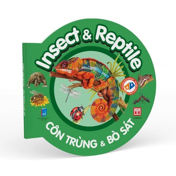 Từ điển bằng hình - Côn trùng & Bò sát - Insect & Reptile