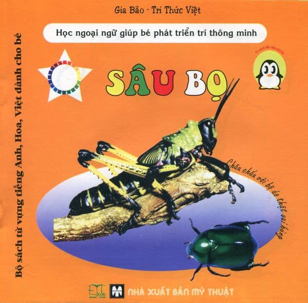 Bộ Sách Từ Vựng Tiếng Anh, Hoa, Việt Dành Cho Bé - Sâu Bọ - Việt Anh
