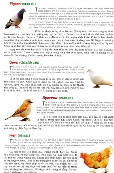 Quyển Sách Của Tôi Về Các Loại - Chim (Sách Song Ngữ)