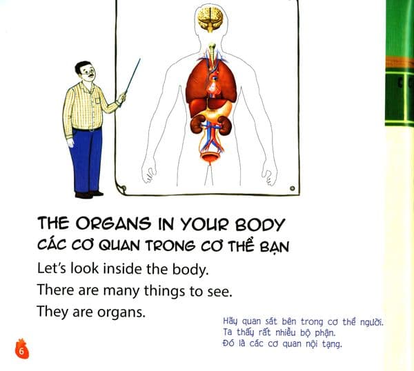 Inside Your Body - Bên Trong Cơ Thể Bạn (Trình Độ 2 - Tập 6) - Kèm 1 CD