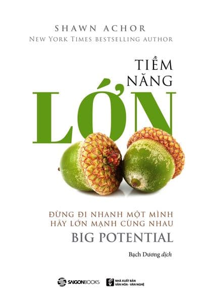 Tiềm Năng Lớn - Shawn Achor