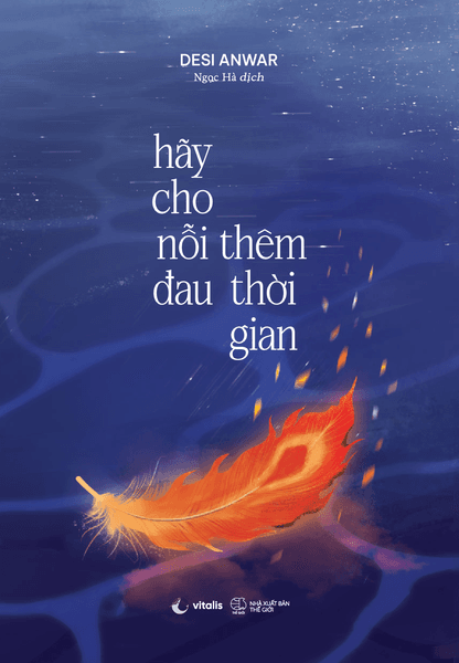 Hãy Cho Nỗi Đau Thêm Thời Gian - Desi Anwar