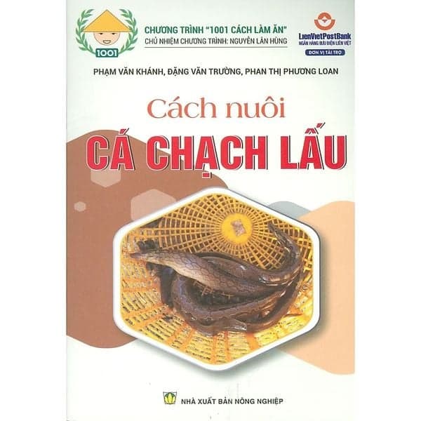 Cách Nuôi Cá Chạch Lấu - Khánh Ca