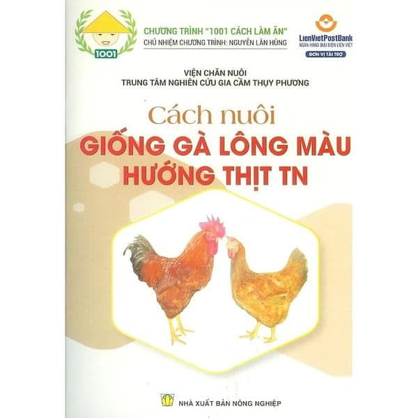 Cách Nuôi Giống Gà Lông Màu Hướng Thịt TN - Gã