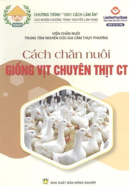 Cách Chăn Nuôi Giống Vịt Chuyên Thịt CT - Chà
