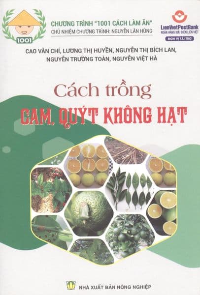 Cách Trồng Cam Quýt Không Hạt - Hạ