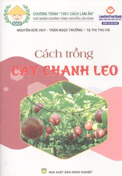 Cách Trồng Cây Chanh Leo - Ume Chan