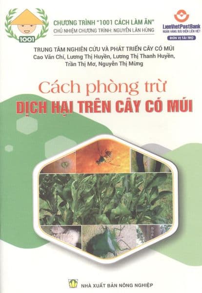 Cách Phòng Trừ Dịch Hại Trên Cây Có Múi - Hạ