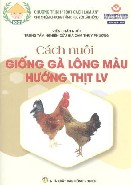 Cách Nuôi Giống Gà Lông Màu Hướng Thịt LV - Long
