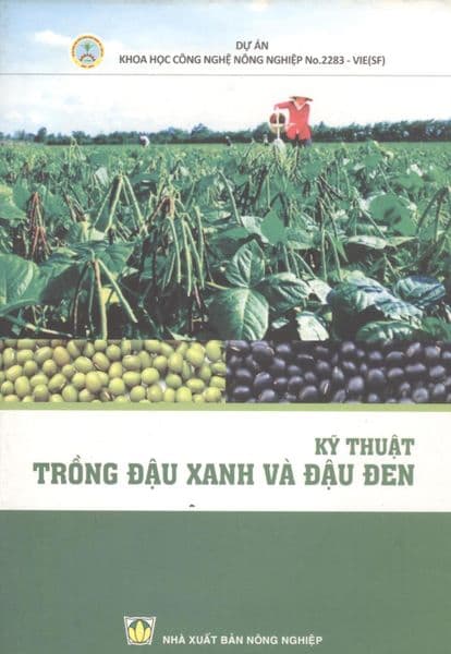 Kỹ Thuật Trồng Đậu Xanh Và Đậu Đen - Đậu Đậu