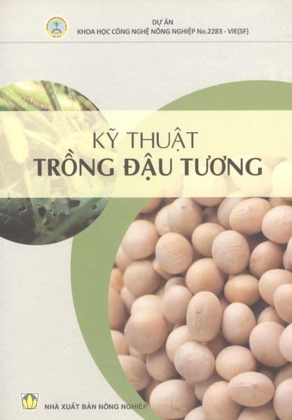 Kỹ Thuật Trồng Đậu Tương - Đậu Đậu