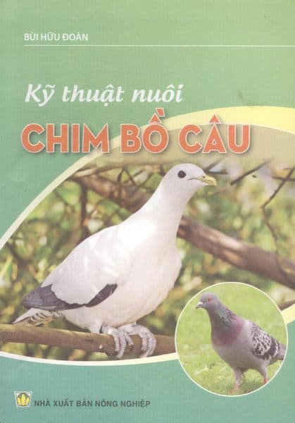 Kỹ Thuật Nuôi Chim Bồ Câu - Chì