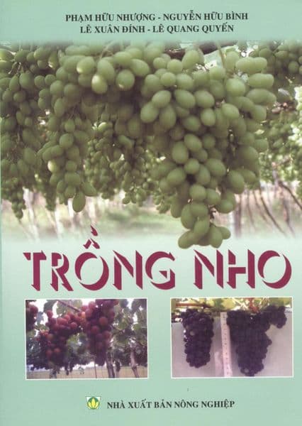 Trồng Nho - Lê Đình Nguyên