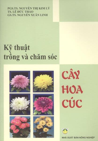 Kỹ Thuật Trồng Và Chăm Sóc Cây Hoa Cúc - Kim Cúc