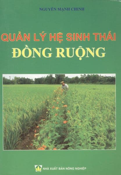 Quản Lý Hệ Sinh Thái Đồng Ruộng - Thái Đồng