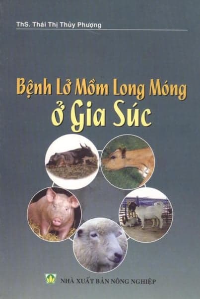 Bệnh Lở Mồm Long Móng Ở Gia Su - Long