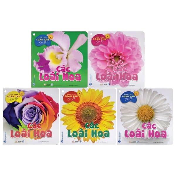 Bách Khoa Toàn Thư Cho Bé - Các Loài Hoa - Bách Khoa